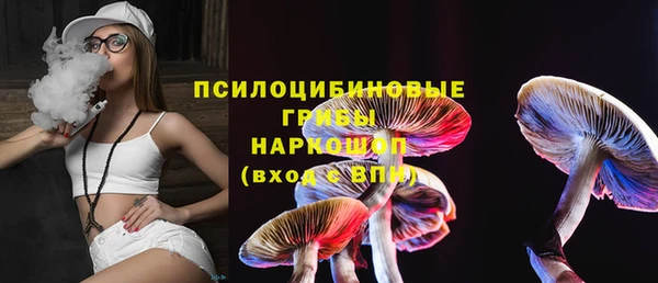 стаф Дмитровск