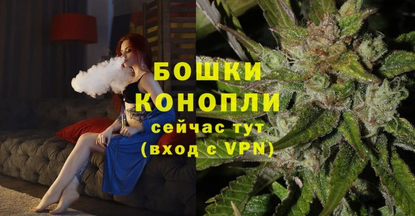 стафф Дмитров