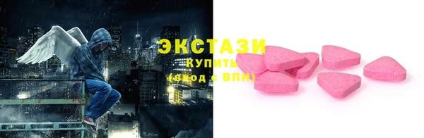 стаф Дмитровск