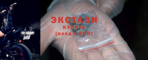 стаф Дмитровск