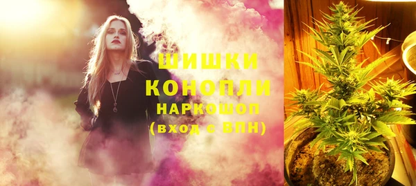 стаф Дмитровск