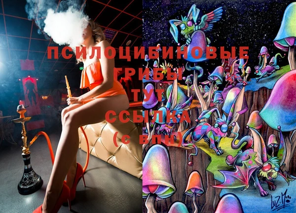 стафф Дмитров