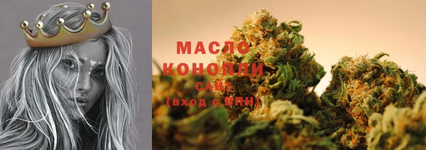 прущий лед Дмитриев